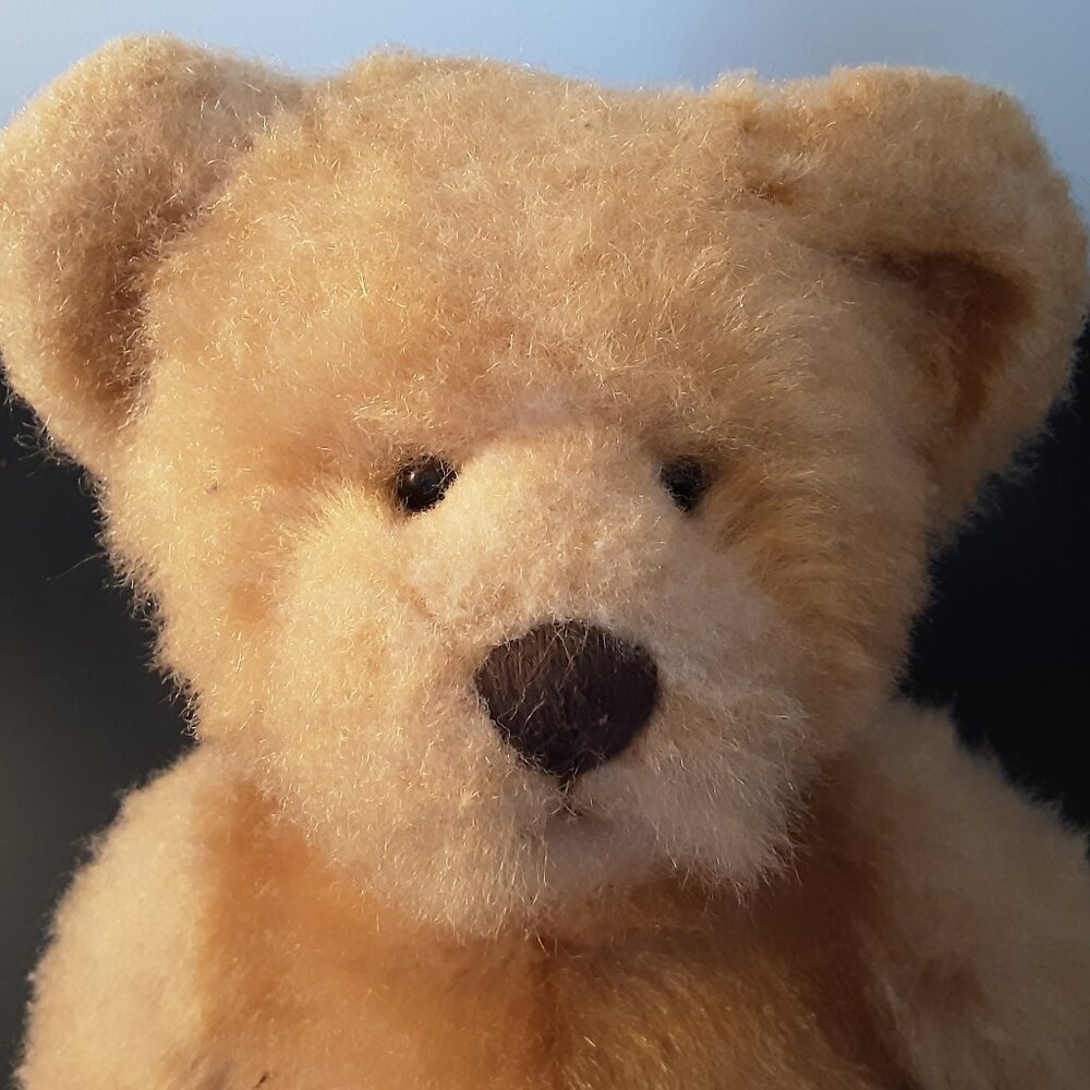 3 / 40$ Pennington 16" Teddy Bear